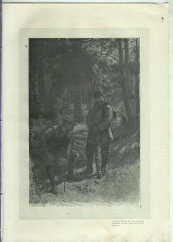Lamina ilustrador Simonn numerada 49