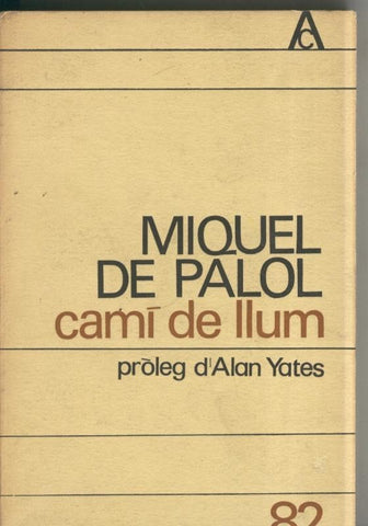Cami de llum