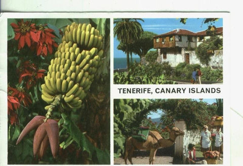 Postal 4354 : Tenerife, Canary Islands