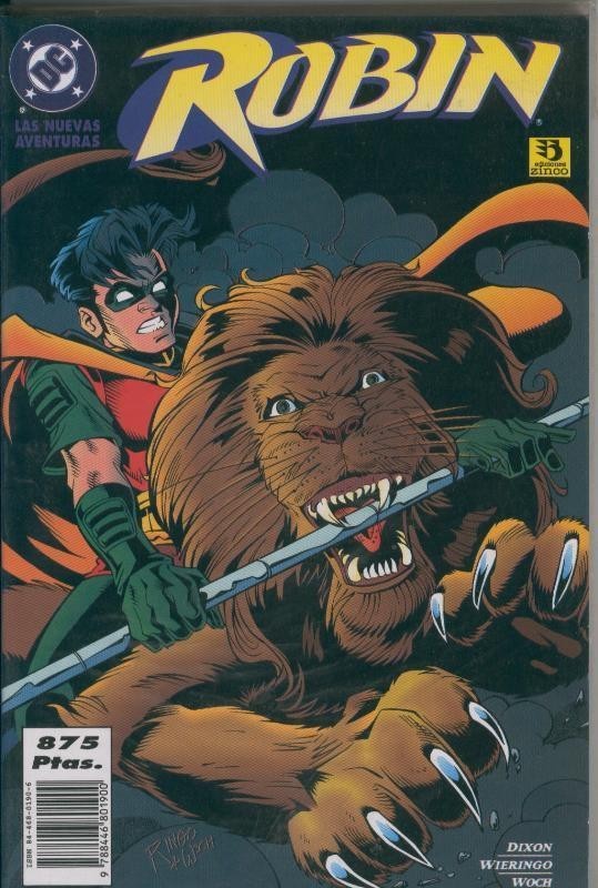 Robin: las nuevas aventuras