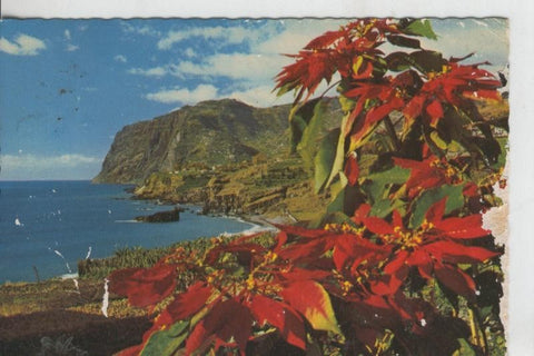 Postal 008415: Cabo Girao en Madeira, Portugal