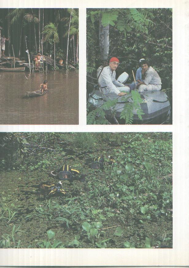 El viaje de Cousteau por el amazonas, fasciculo paginas 065 a 080