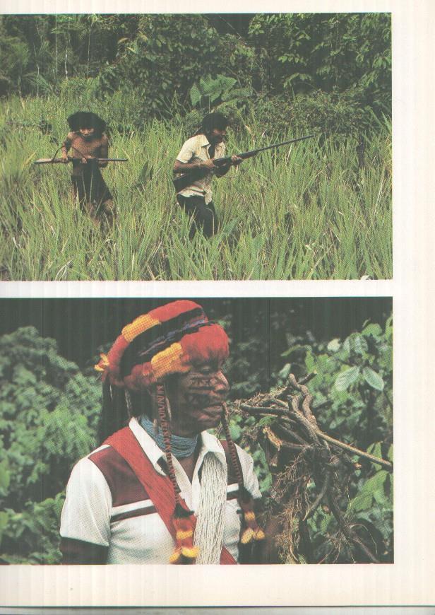 El viaje de Cousteau por el amazonas, fasciculo paginas 177 a 192