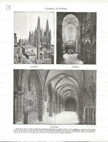 LAMINA 4591: Catedral de Burgos