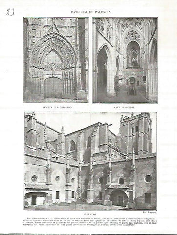 LAMINA 4596: Catedral de Palencia