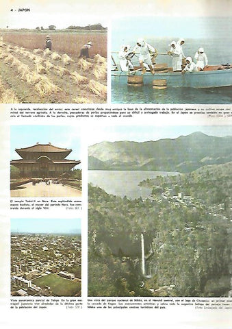 LAMINA MONITOR 0278: VISTAS DE JAPON