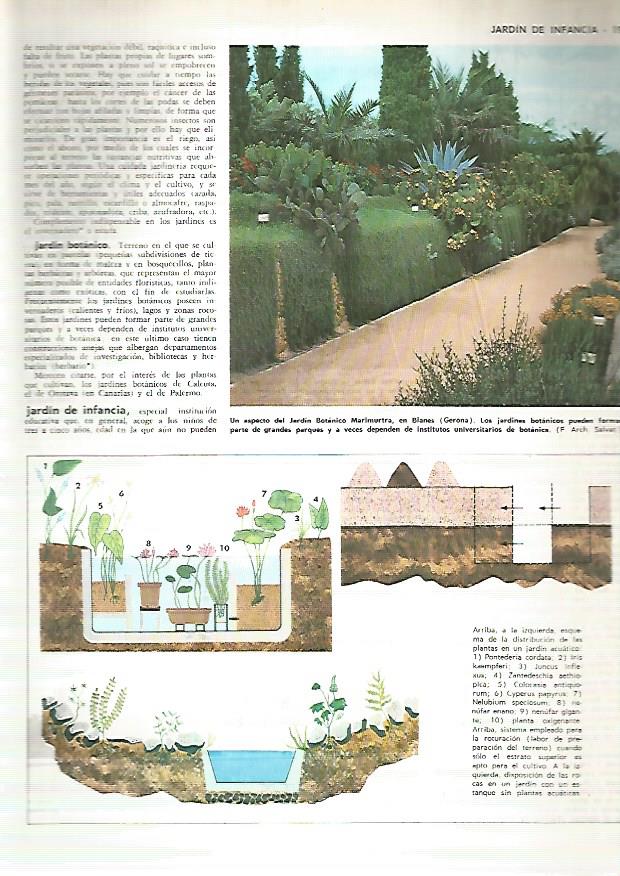 LAMINA MONITOR 0286: JARDIN BOTANICO MARIMURTRA EN BLANES GIRONA