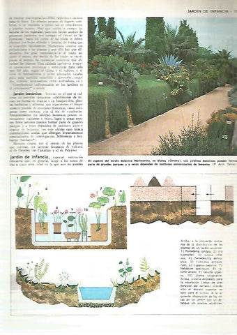 LAMINA MONITOR 0286: JARDIN BOTANICO MARIMURTRA EN BLANES GIRONA