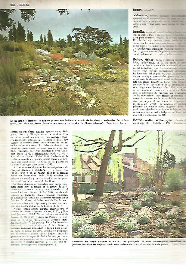 LAMINA MONITOR 0428: JARDIN BOTANICO DE BLANES Y DE BASILEA