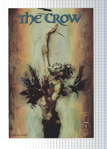 THE CROW, Volume 1, Numero 06: In the Skin of an Angel, Part 2 (Image 1999)