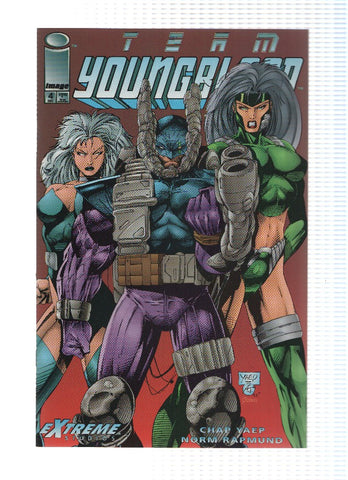 TEAM YOUNGBLOOD, Volume 1, Numero 04: Welcome Home (Image Comics)