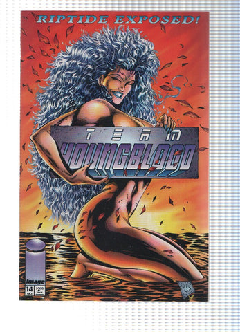 TEAM YOUNGBLOOD, Volume 1: Numero 14 (Image)
