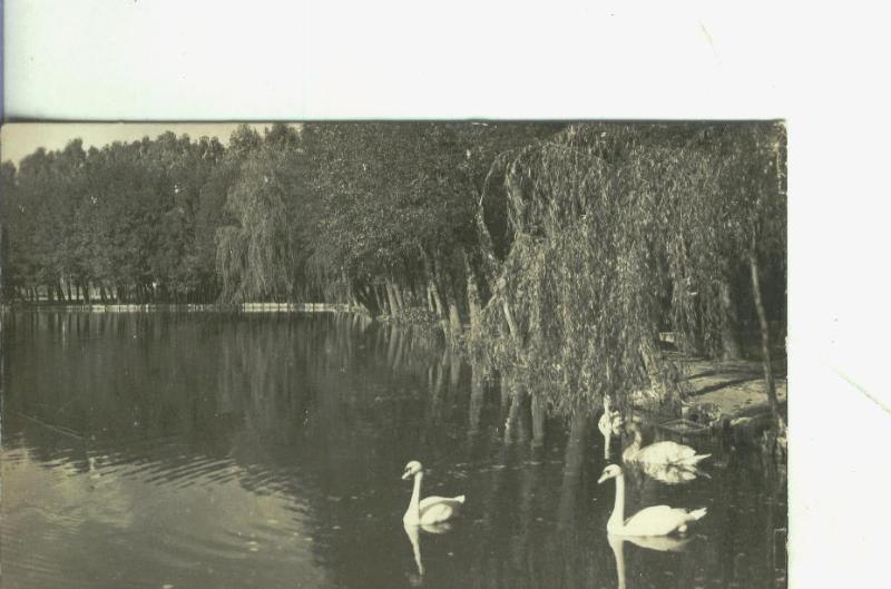 Postal 003035: Puigcerda: El lago