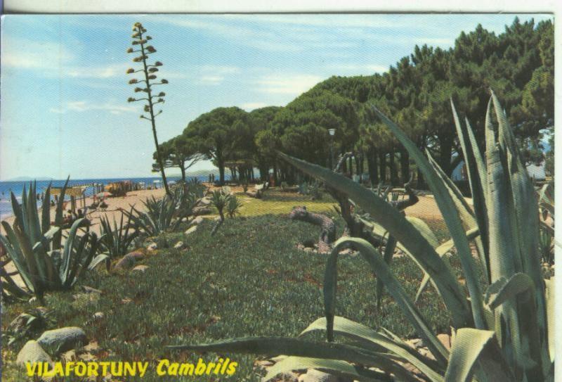 Postal 5189 : Playa de Vilafortuny en Cambrils-Tarragona