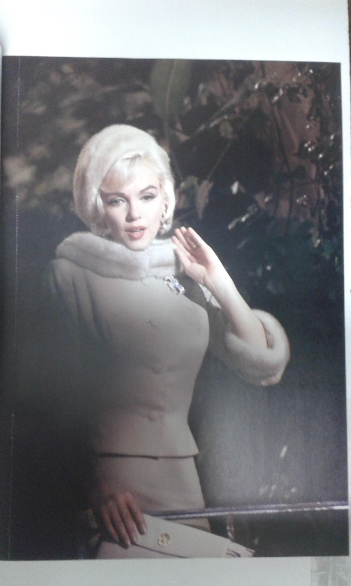 Lamina Marilyn Monroe numerada trasera 12