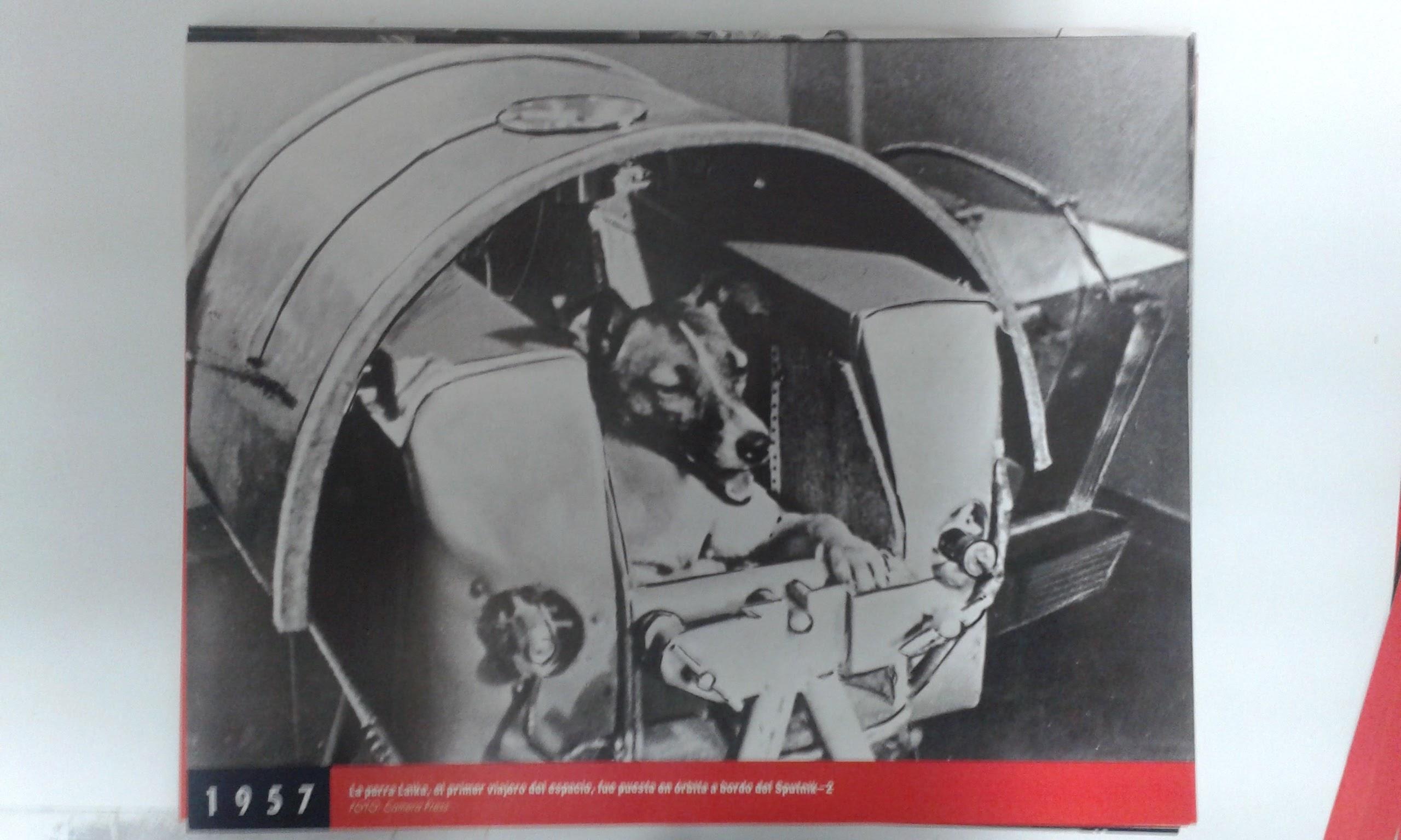 Fotos que hacen historia año 1957: La perra Laika primer viajero del espacio
