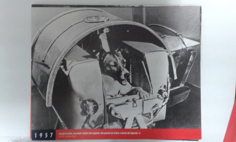 Fotos que hacen historia año 1957: La perra Laika primer viajero del espacio