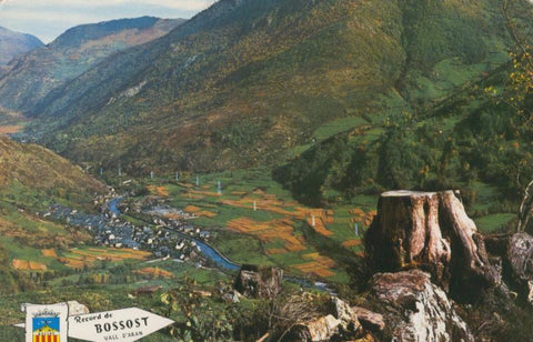 Postal 008748:  Valle de Aran, Bossost