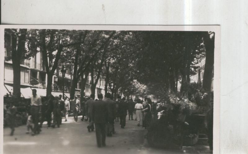 Postal 010510: Rambla de las Flores de Barcelona