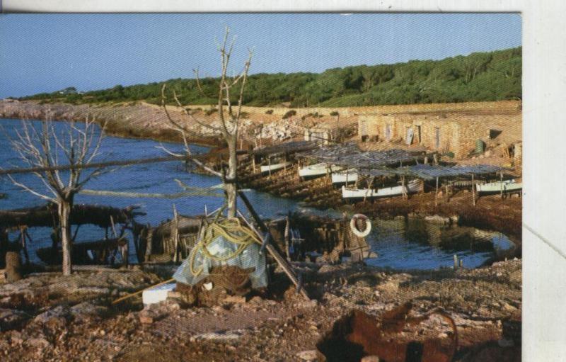 Postal 4095 : Formentera: Esturren de Lalga Michorn