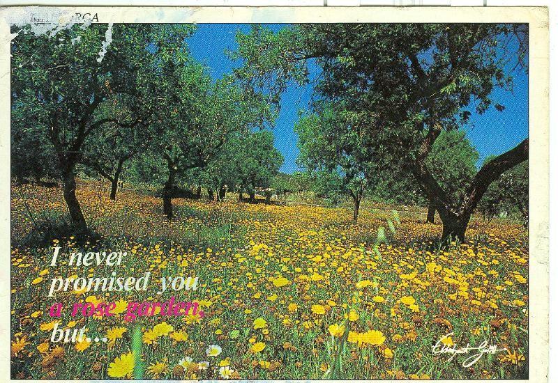 Postal 6430 : Naturaleza pura, Mallorca