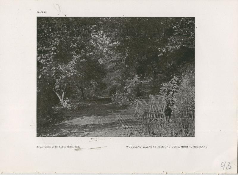 Jardines ingleses lamina 43: Woodland Walks at Jesmond Dene, Northumberland