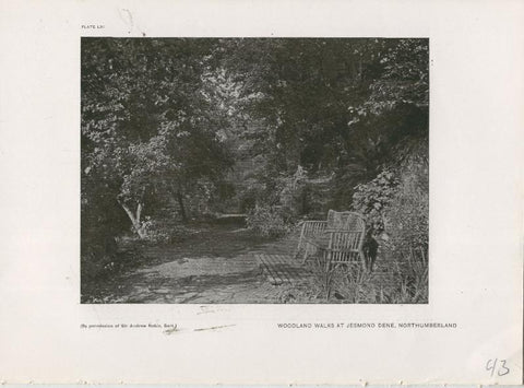 Jardines ingleses lamina 43: Woodland Walks at Jesmond Dene, Northumberland