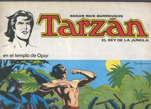 Tarzan numero 2 (numerado 5 en trasera)