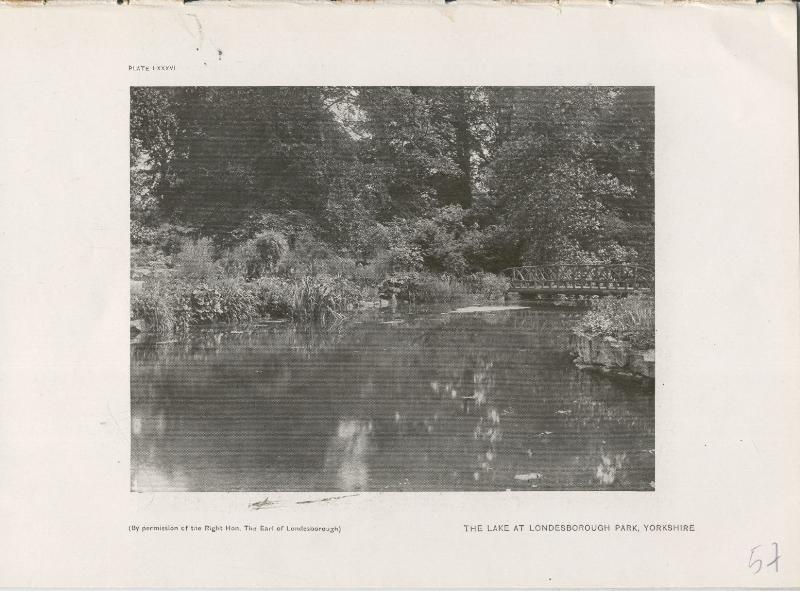 Jardines ingleses lamina 57: The Lake at Londesborough Park, Yorkshire