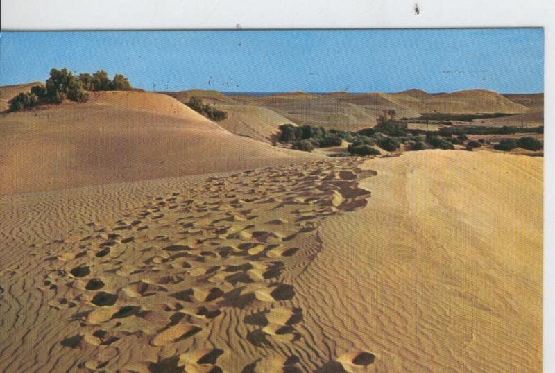 Postal 7357 : Dunas de Maspalomas, Gran Canaria