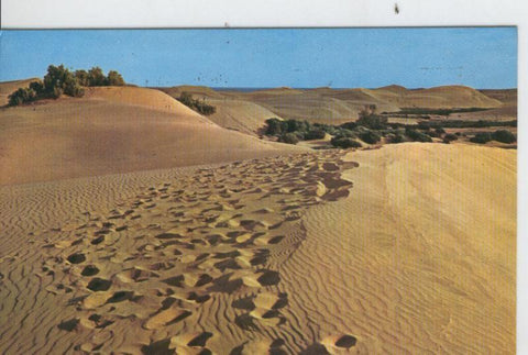 Postal 7357 : Dunas de Maspalomas, Gran Canaria