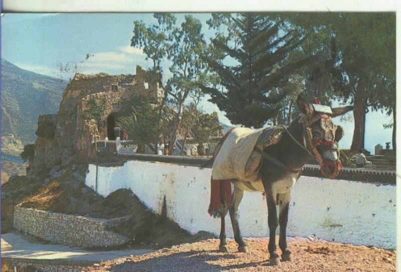 Postal 5218 : Vista parcial de Mijas (Malaga)