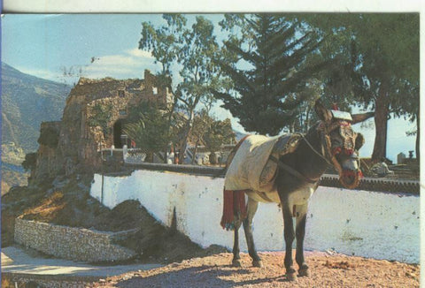 Postal 5218 : Vista parcial de Mijas (Malaga)