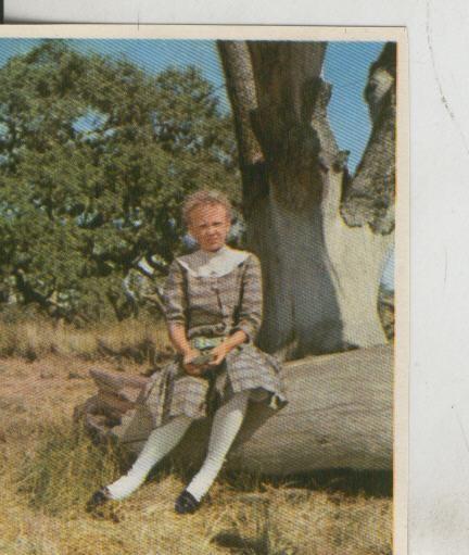 Cromos: Pollyanna numero 152