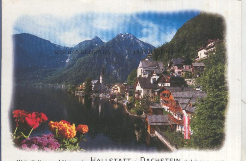 Postal 5335 : Hallsstatt-Dachstein