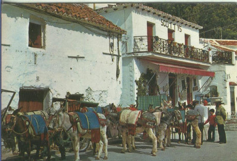 Postal 5219 : Parrada de Burros de Mijas (Malaga)
