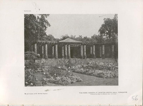 Jardines ingleses lamina 56: The Rose Garden at Newton Green Hall, Yorkshire