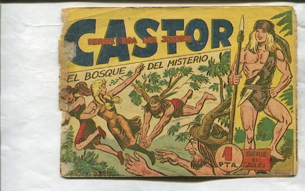 Castor de M.Gago numero 06: El bosque del misterio
