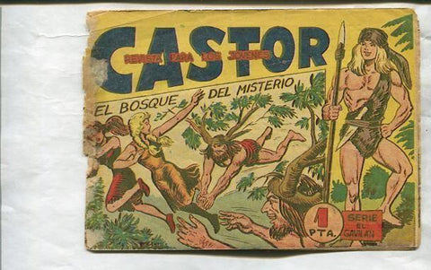 Castor de M.Gago numero 06: El bosque del misterio