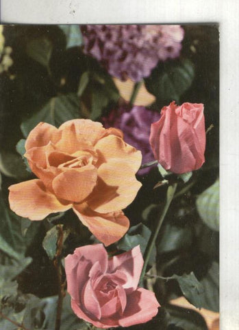 Postal 003599: Flores