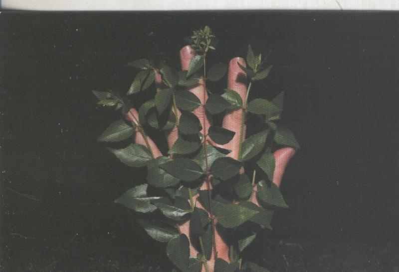 Postal 5737 : Publicitaria Exposicio Aitor Rosas Suñe, Barcelona