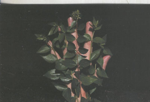 Postal 5737 : Publicitaria Exposicio Aitor Rosas Suñe, Barcelona