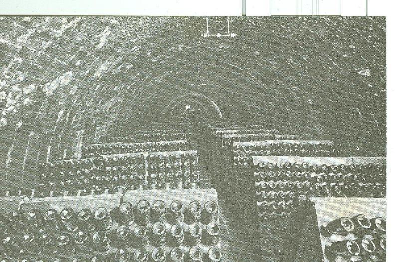 Postal 6321 : Casa Codorniu modelo numero 10