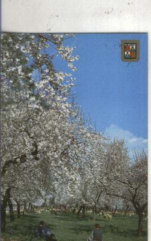 Postal 4699 : Flor de Almendro en mallorca