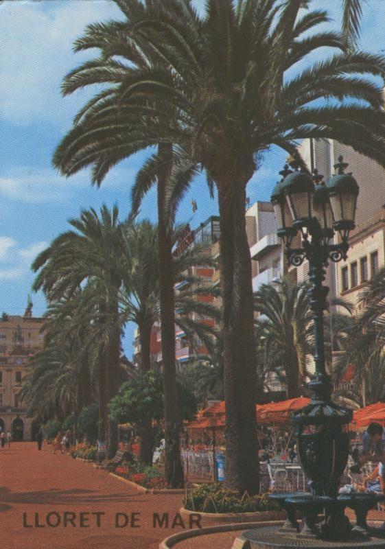 Postal 07773 : Fuente Canaleta de Lloret de Mar