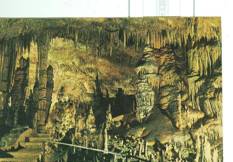 Postal 6338 : Cueva del Drach, Mallorca: Monjes y cactus