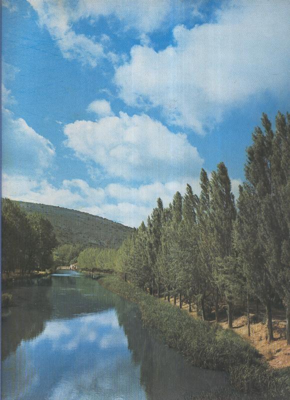 Album Grafico de España lamina 20: Alamos en la ribeda del Duero, Soria