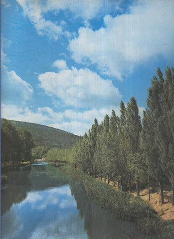 Album Grafico de España lamina 20: Alamos en la ribeda del Duero, Soria