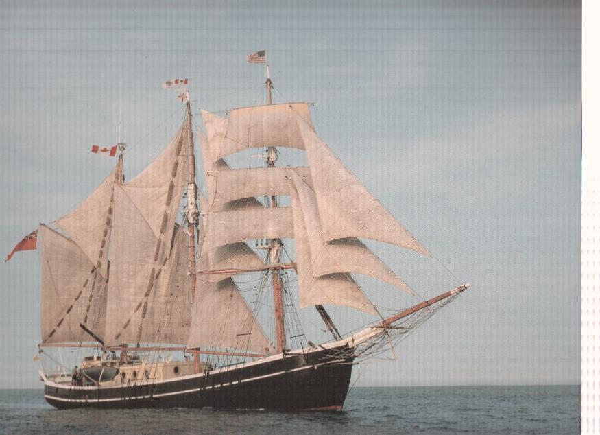 Lamina de barco medida 39,5 x 32,5 cm: Svanen, England