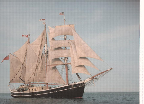 Lamina de barco medida 39,5 x 32,5 cm: Svanen, England